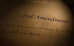 The 2nd Amendment Solid Gun Works